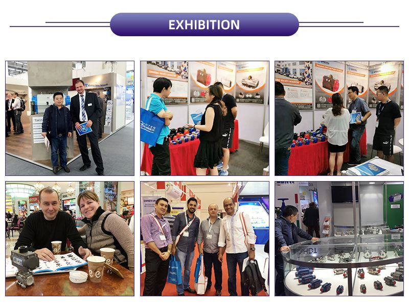 Our Exhibition Our Exhibition
